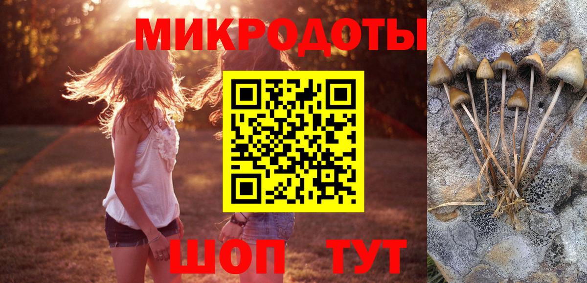 Стерлитамак  Галлюциногенные грибы MAGIC MUSHROOMS  Вход с VPN  Псилоцибиновые грибы прущие грибы 